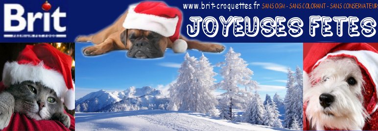 alimentation pour chien, la nutrition chien, croquettes brit